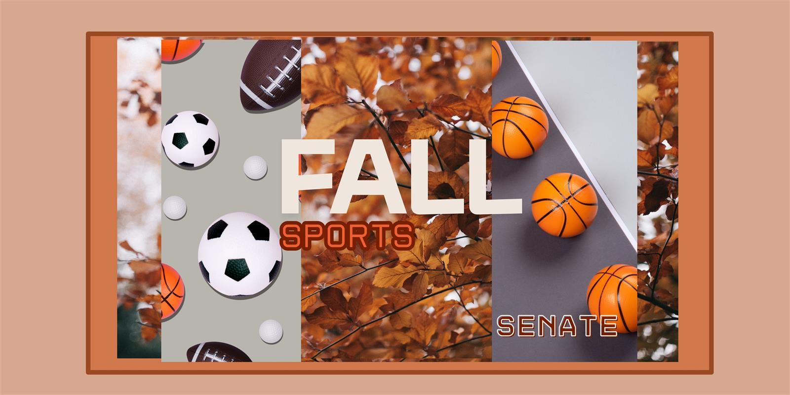 Fall Sports Banner